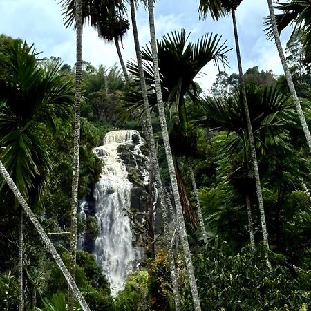 Cozy Homestay Waterfall Road Элла Экстерьер фото