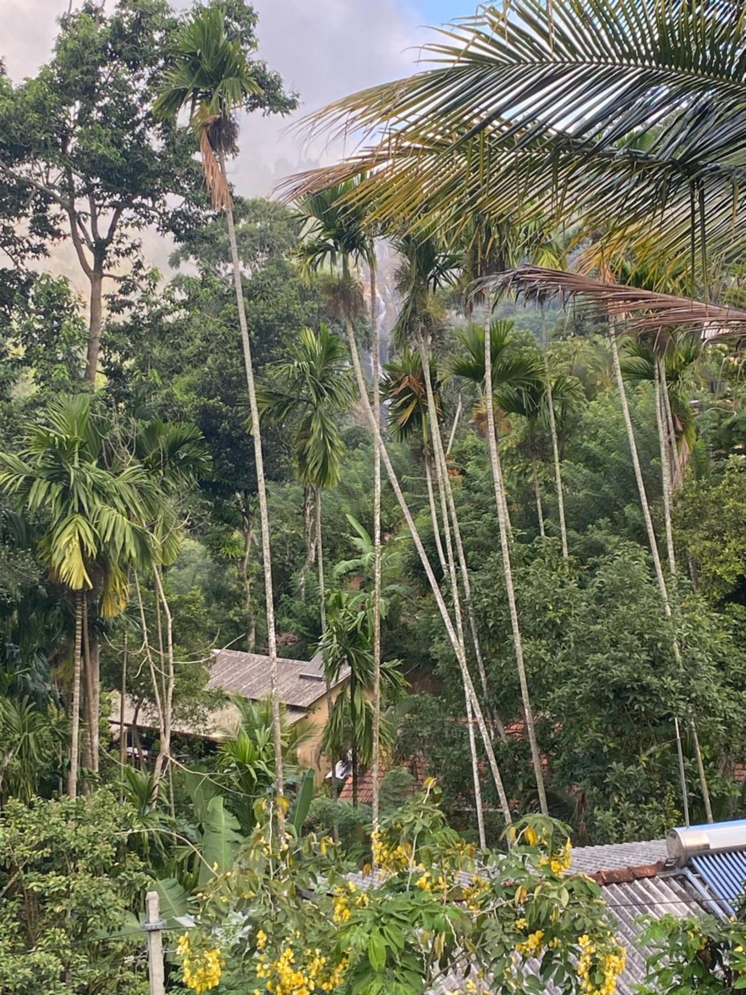 Cozy Homestay Waterfall Road Элла Экстерьер фото