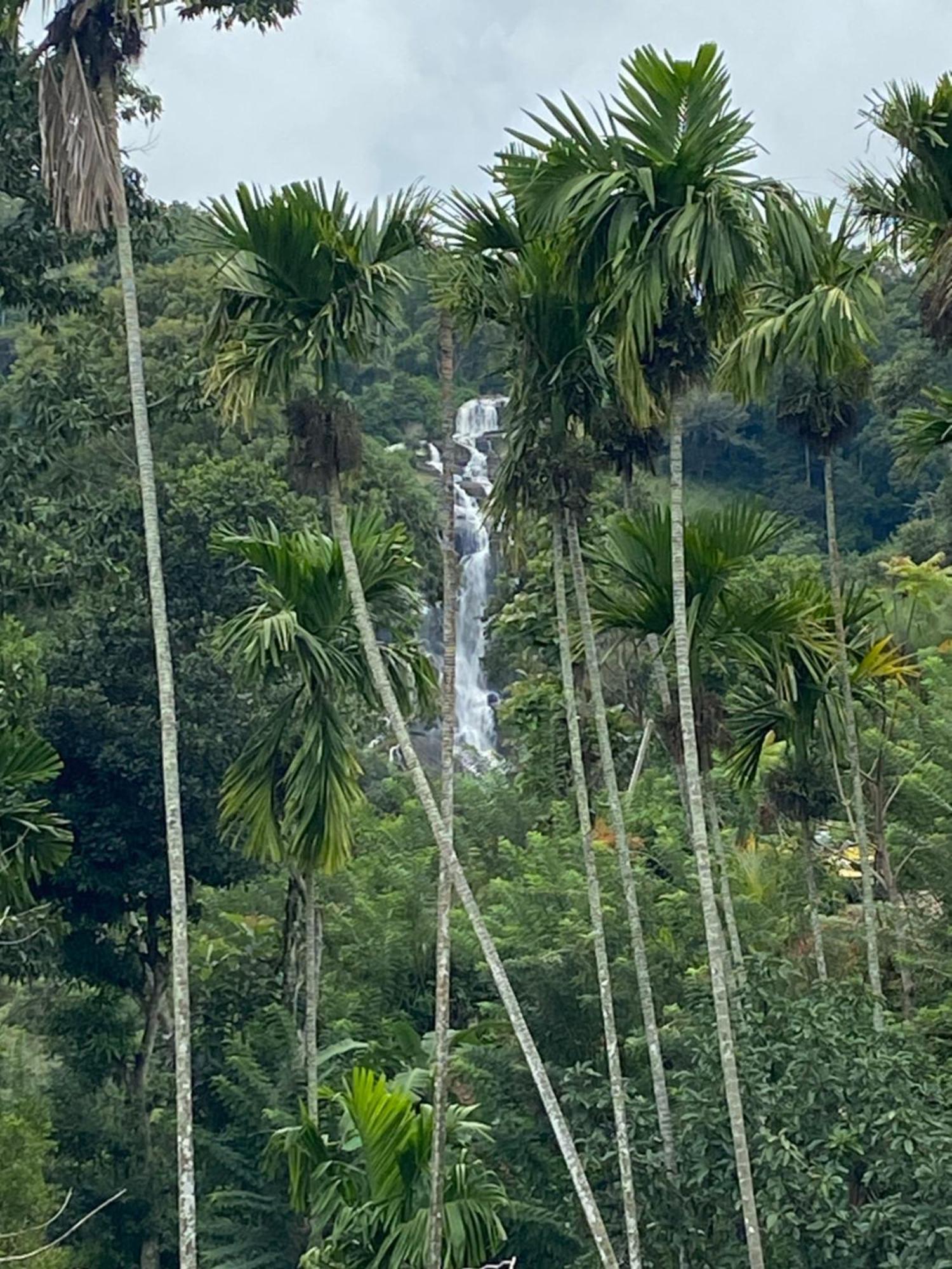 Cozy Homestay Waterfall Road Элла Экстерьер фото