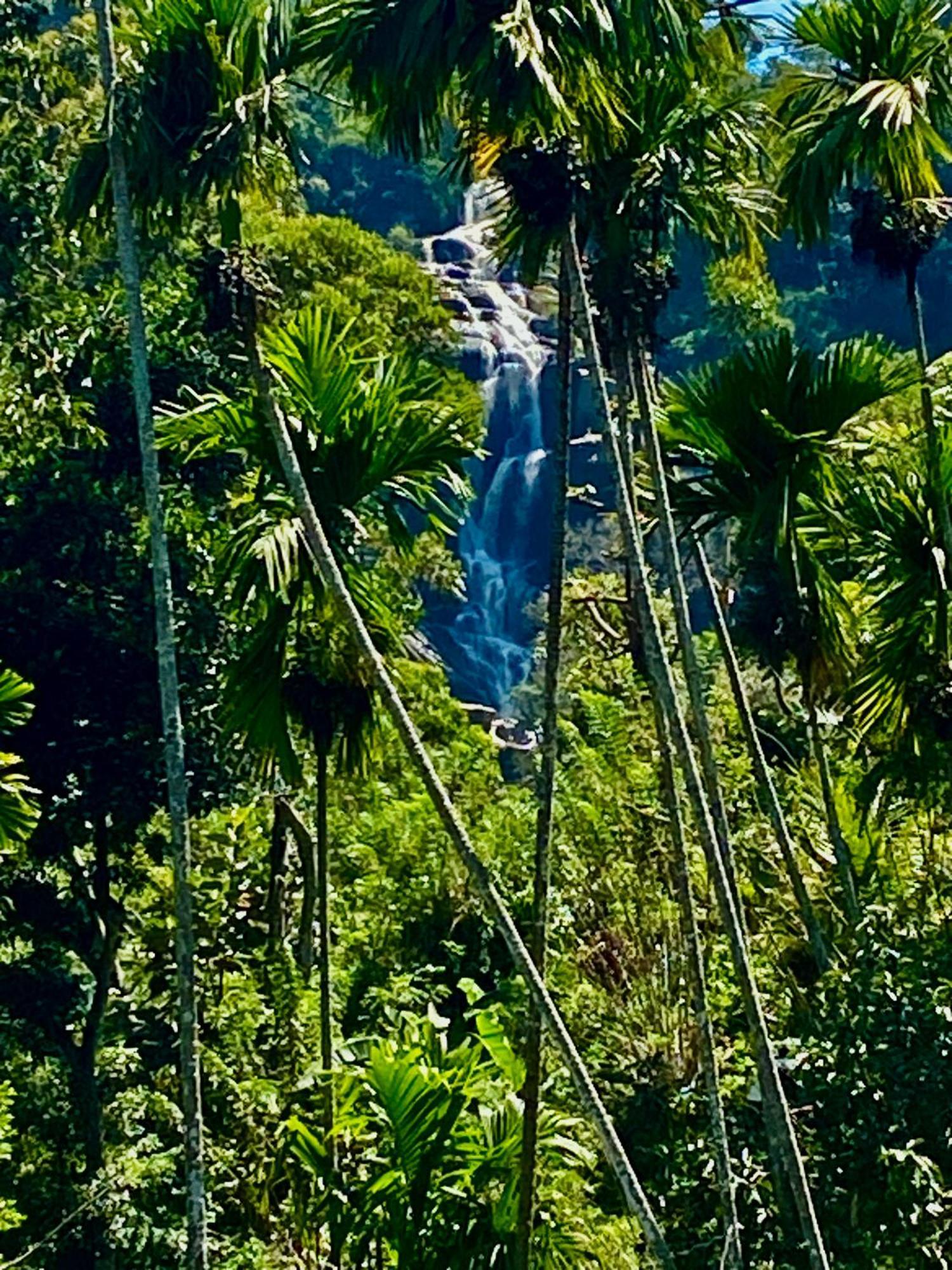 Cozy Homestay Waterfall Road Элла Экстерьер фото